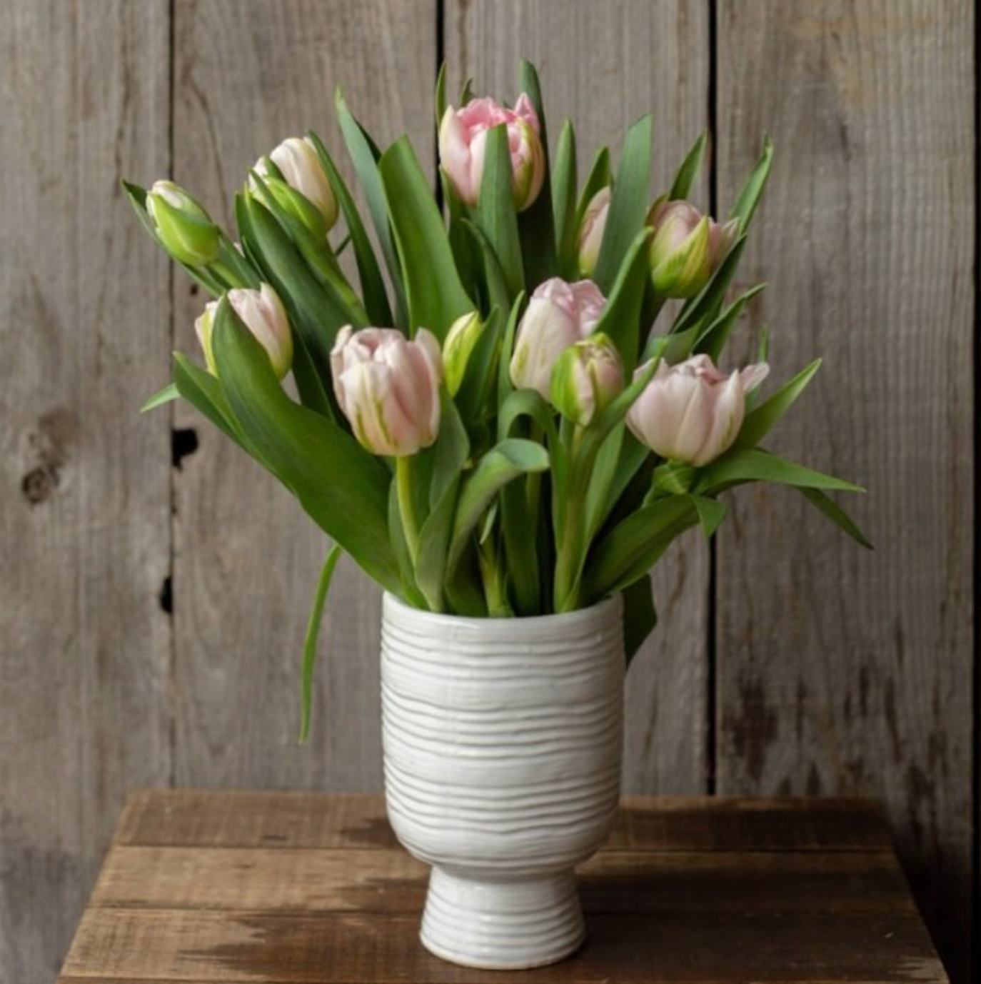 Finola Tulip