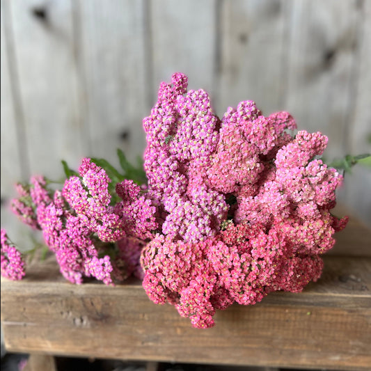 Yarrow Berry Mix